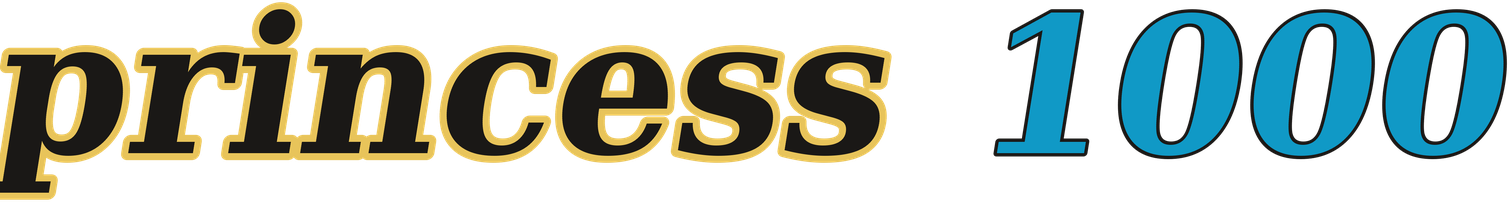 princess 1000 logo